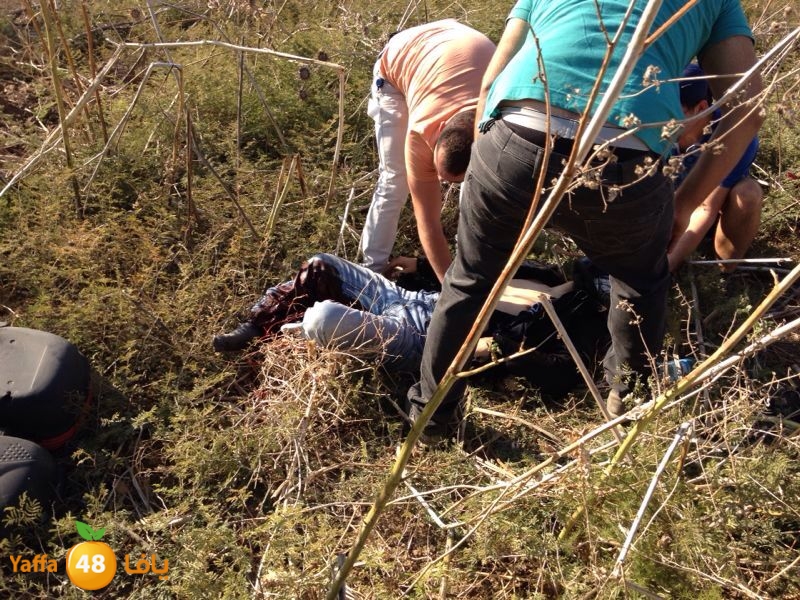 acc genaton ramla lud 1028 (1).jpg